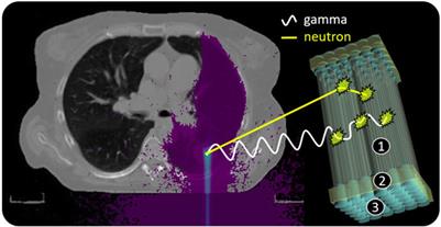 Hybrid treatment verification based on prompt gamma rays and fast neutrons: multivariate modelling for proton range determination